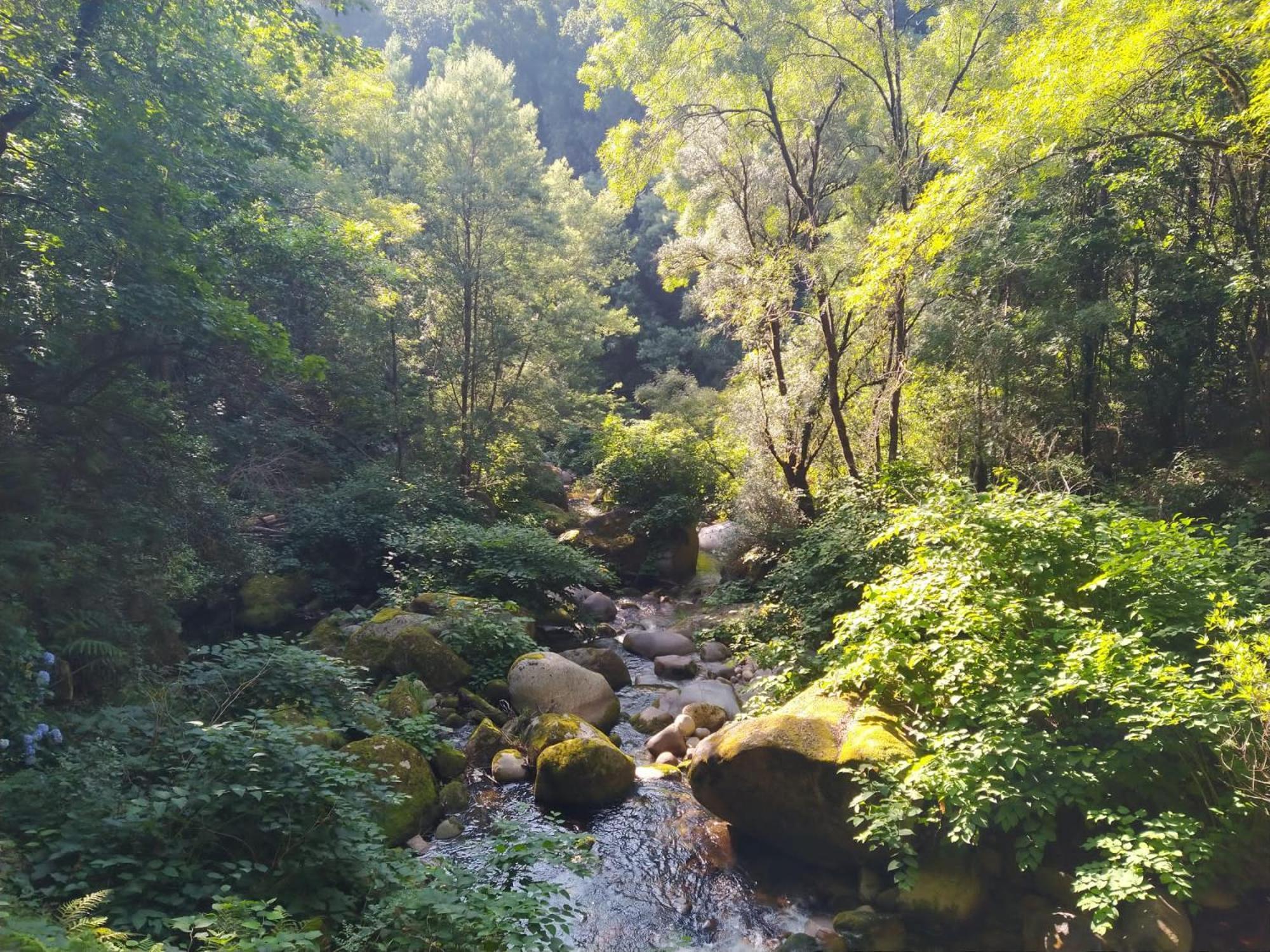 ホテル Campismo Rural Vale Dos Moinhos ジェレス エクステリア 写真